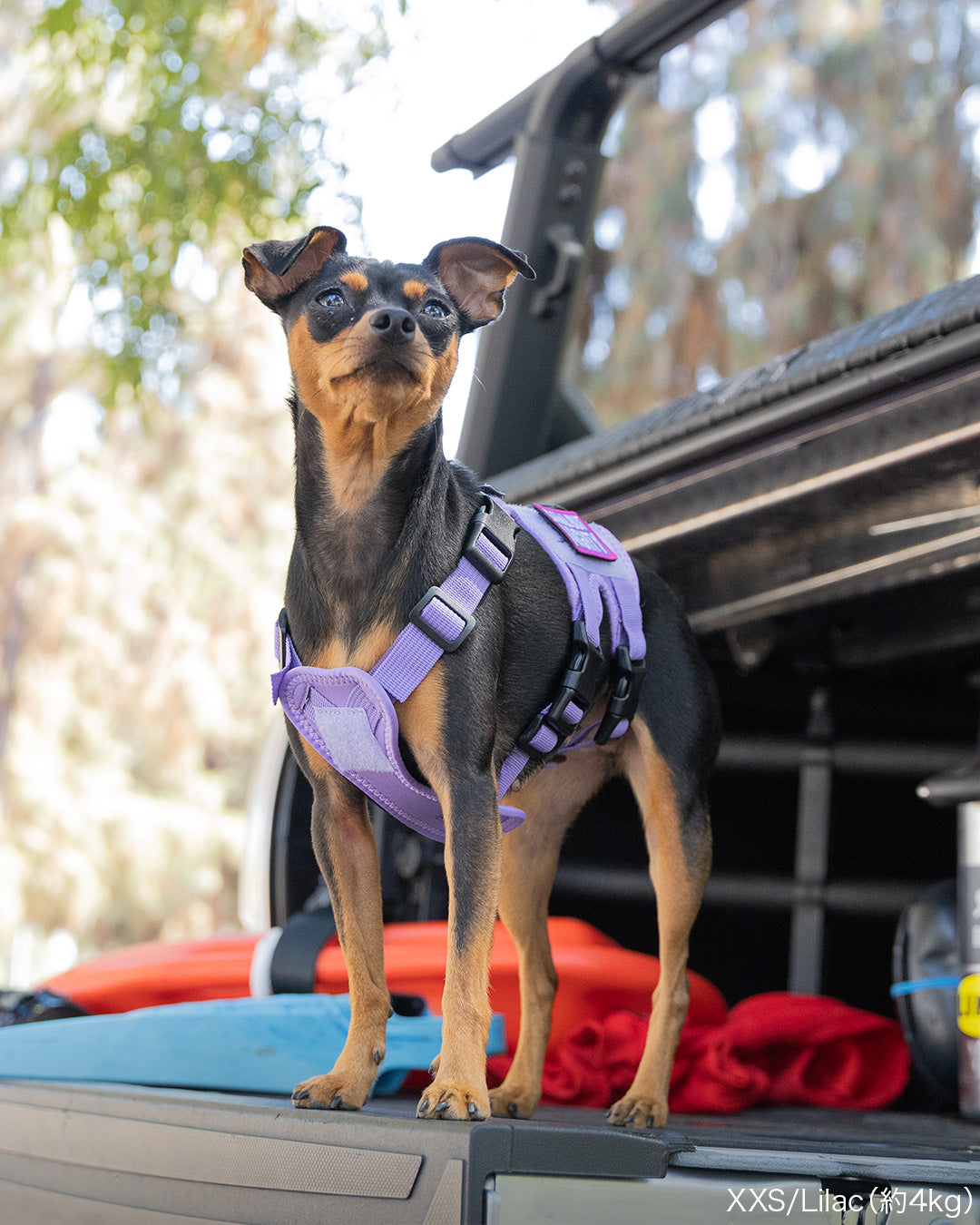 Malibu Line M3Bハーネス