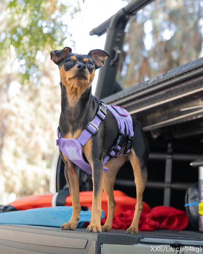 Malibu Line M3Bハーネス