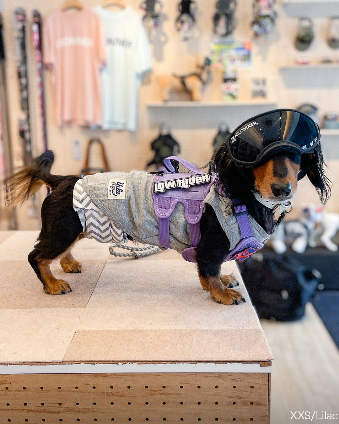 Malibu Line M3Bハーネス