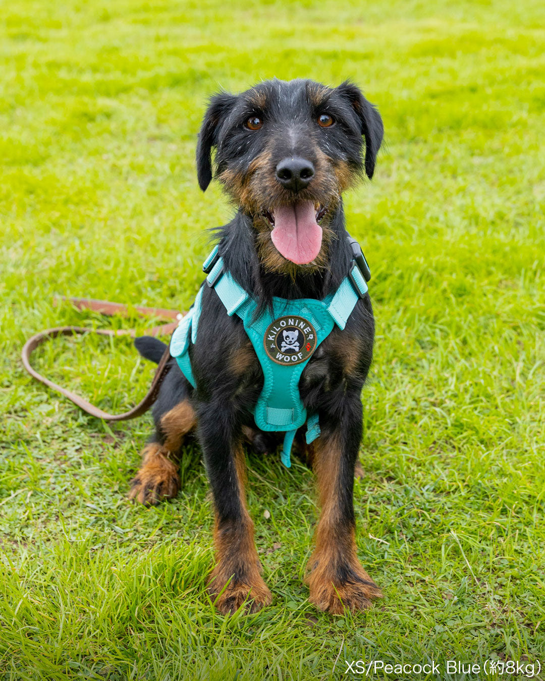 Malibu Line M3Bハーネス