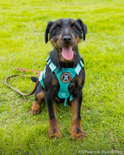 Malibu Line M3Bハーネス