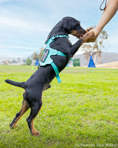 Malibu Line M3Bハーネス