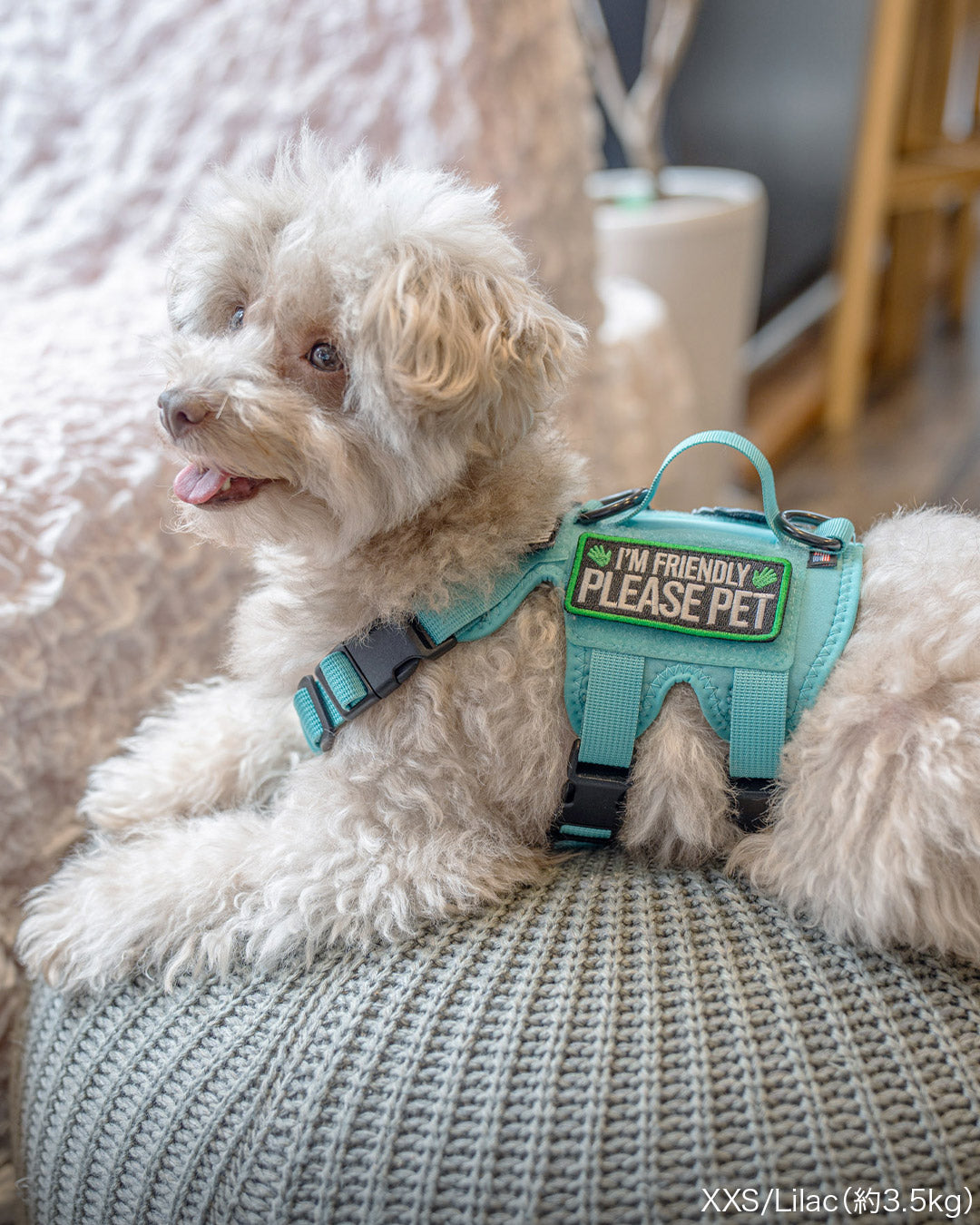 Malibu Line M3Bハーネス