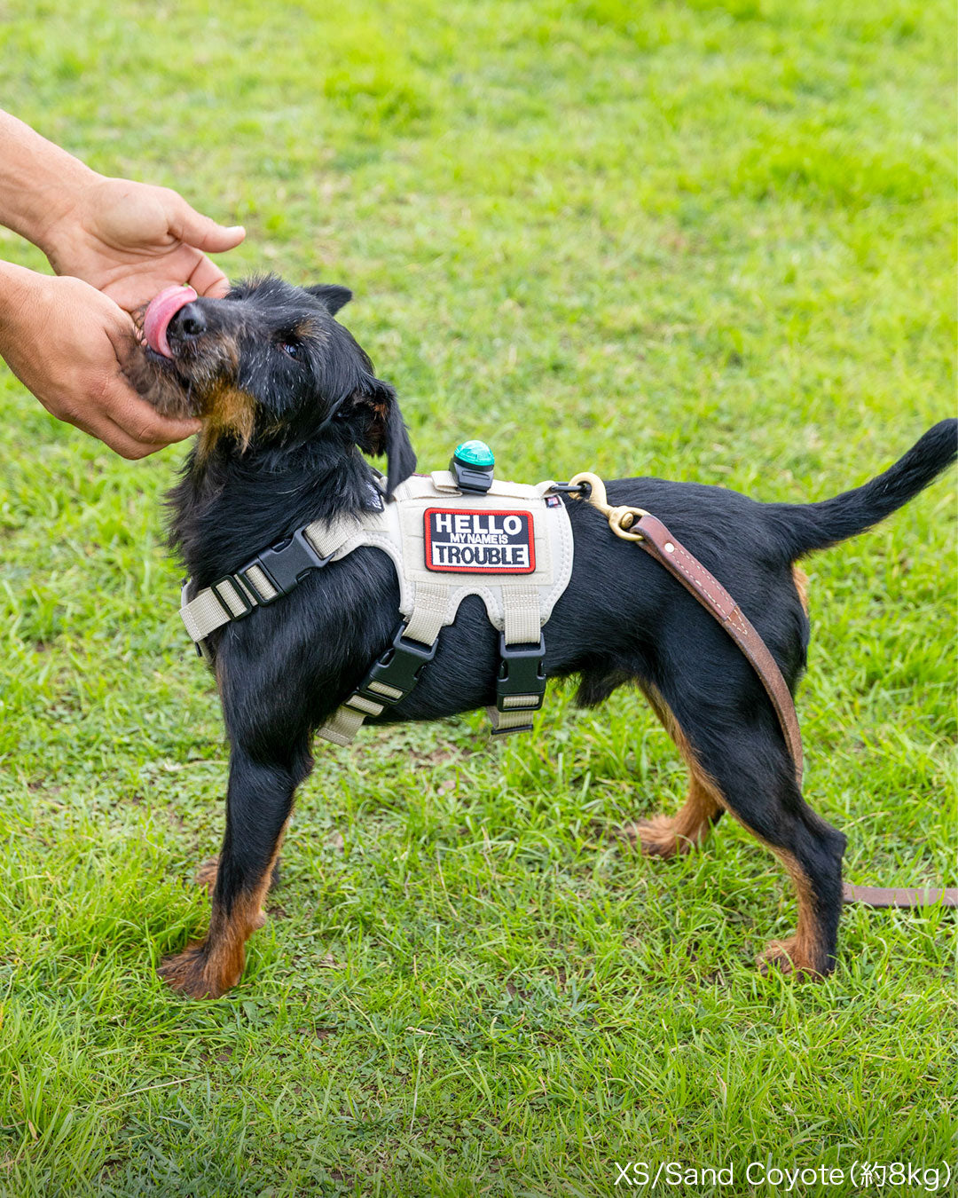 Malibu Line M3Bハーネス