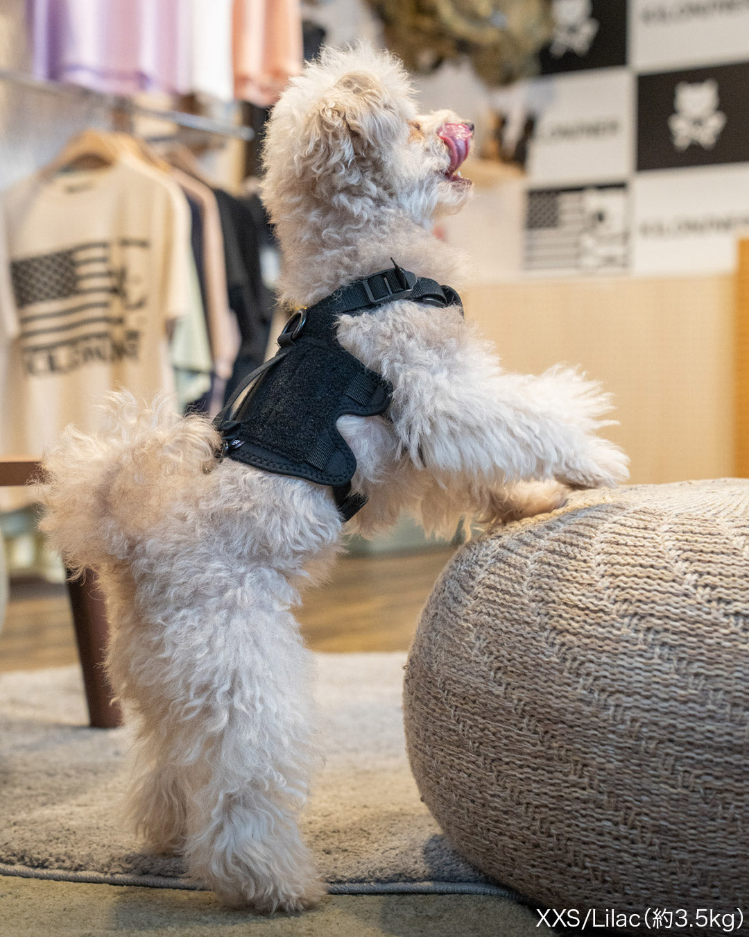 Malibu Line M3Bハーネス