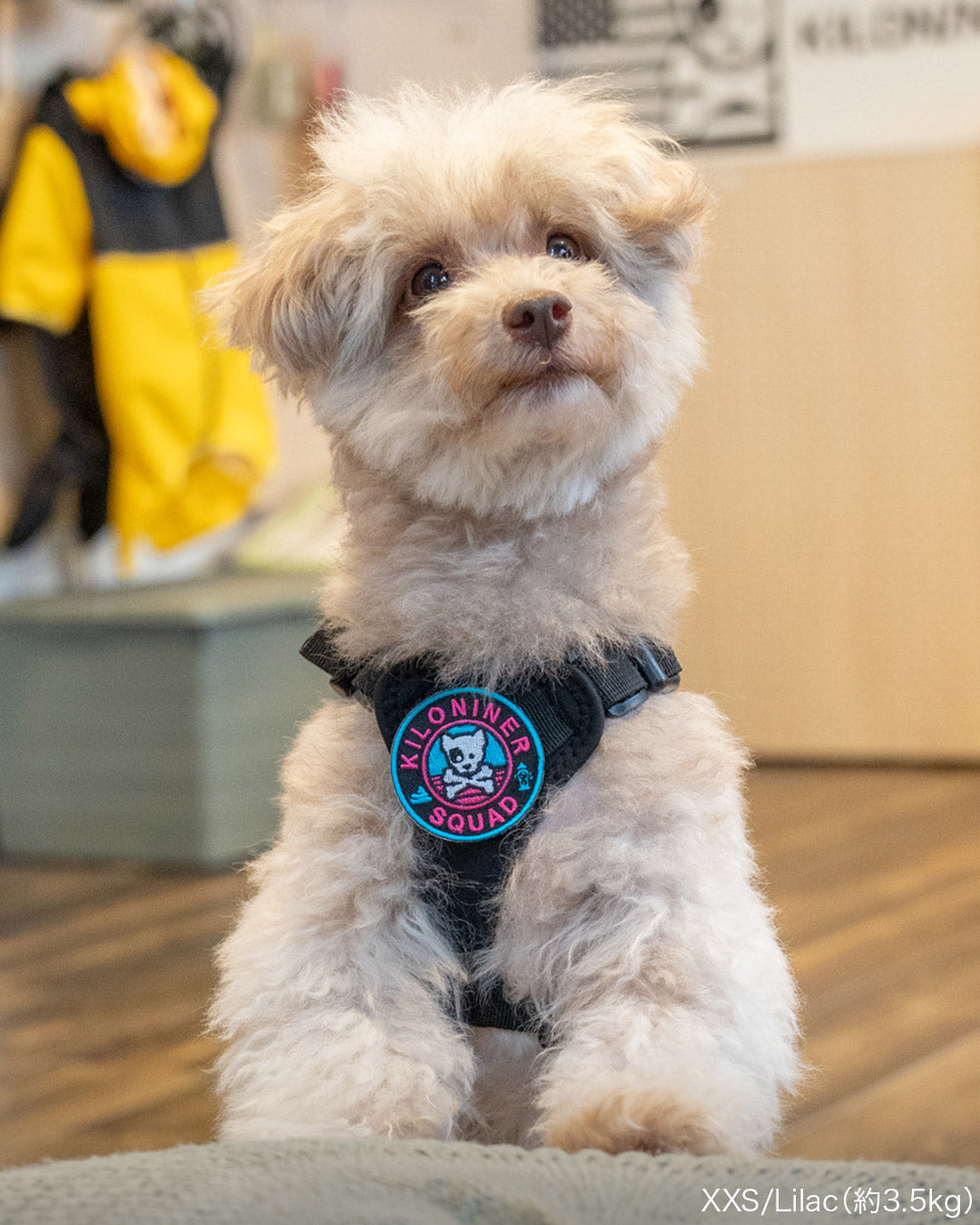 Malibu Line M3Bハーネス