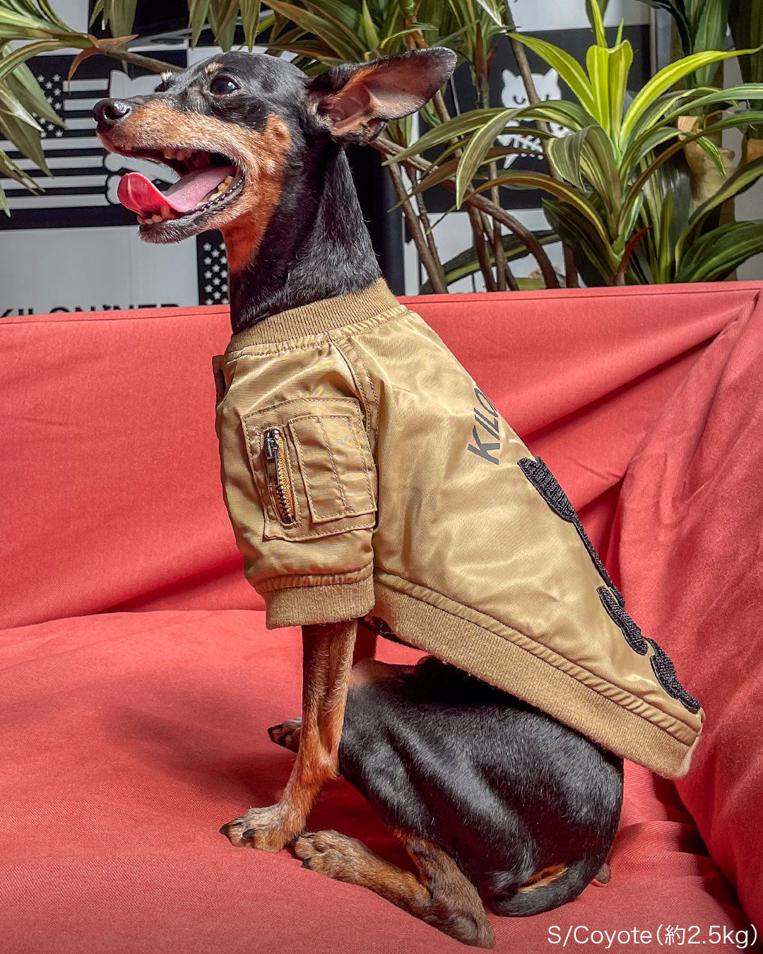 フライトジャケット