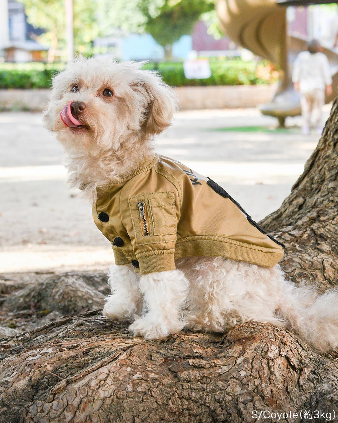 フライトジャケット