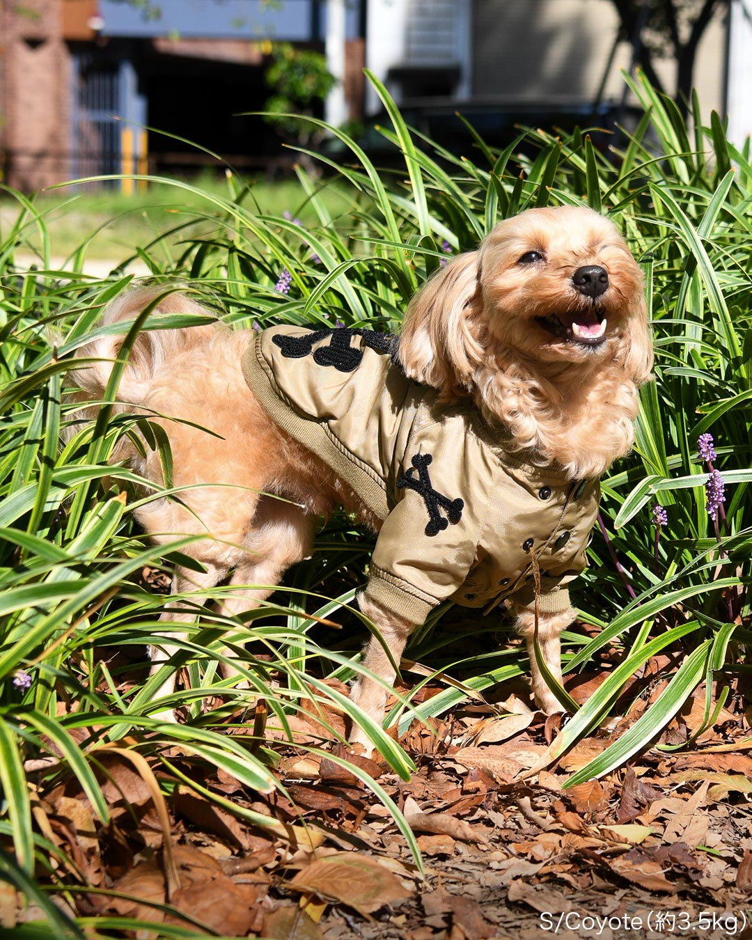 フライトジャケット