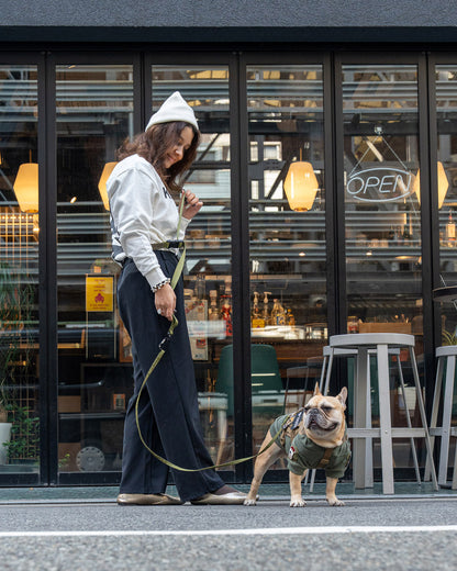 ハンズフリーリーシュ