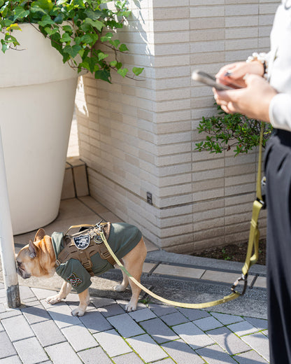 ハンズフリーリーシュ