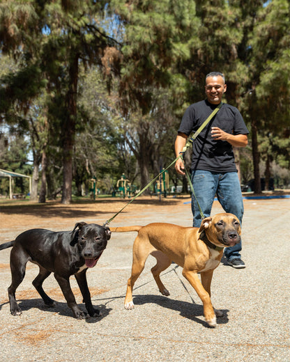 ハンズフリーリーシュ