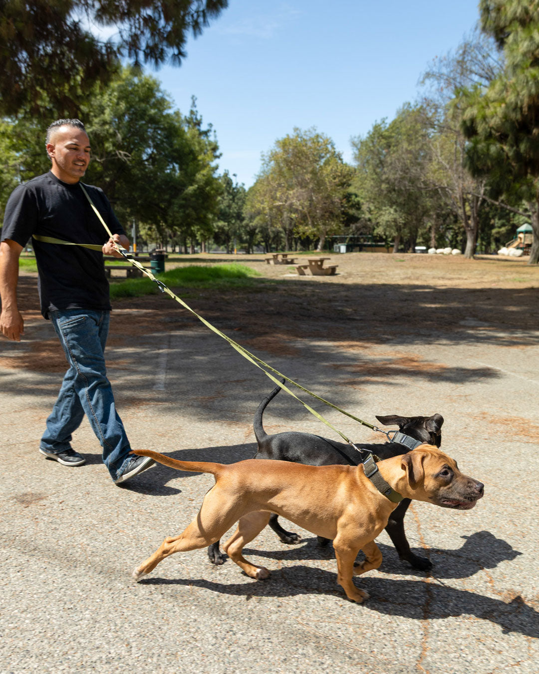 ハンズフリーリーシュ