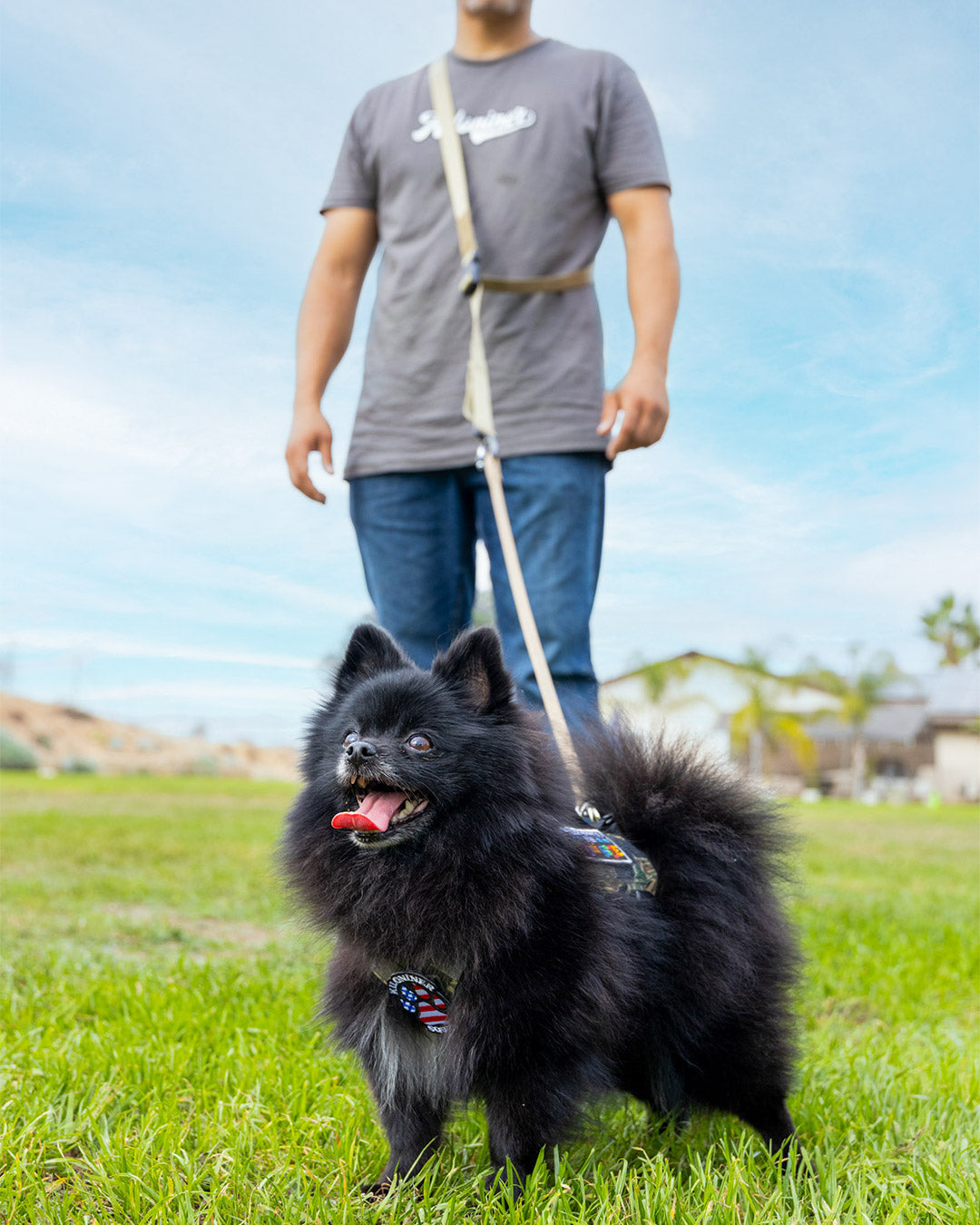 ハンズフリーリーシュ