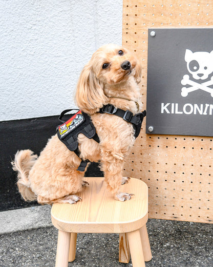 アドベンチャーバディー パッチ