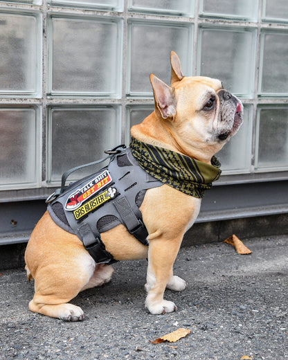 トークシット パッチ