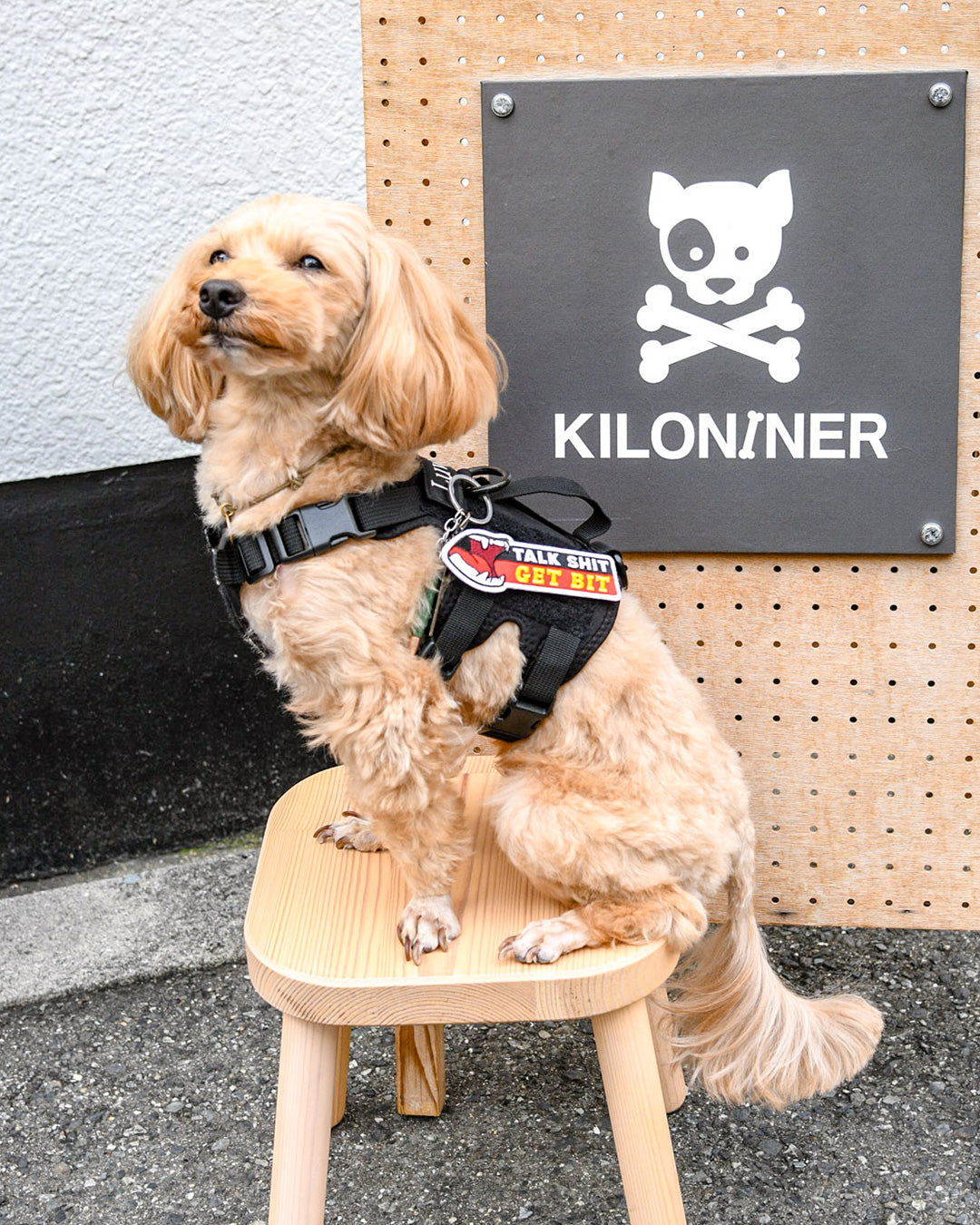 トークシット パッチ