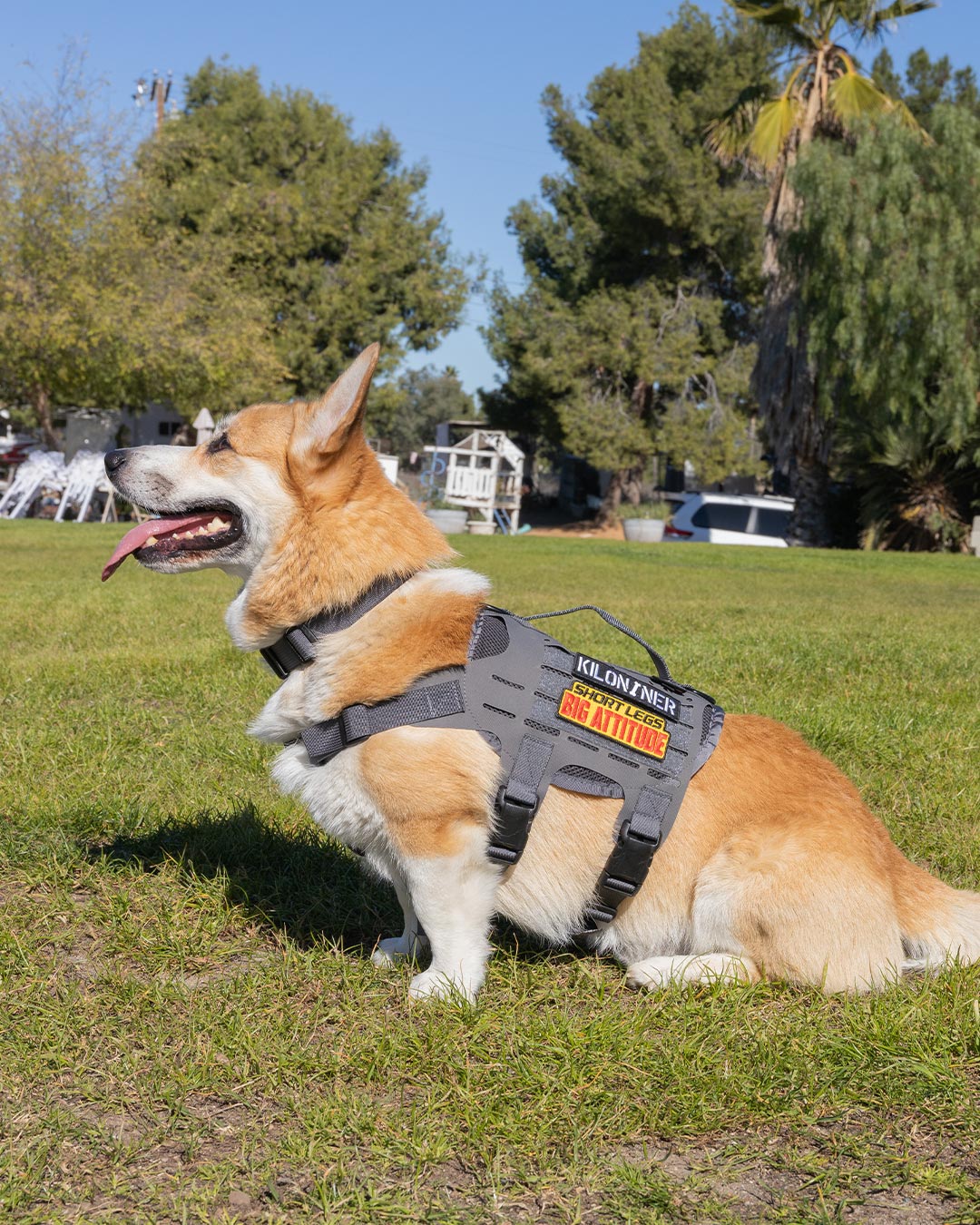 ビッグアティチュード パッチ