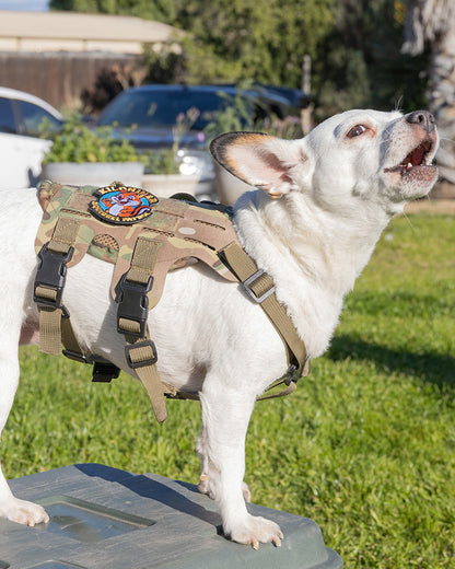 スクワールパトロール パッチ