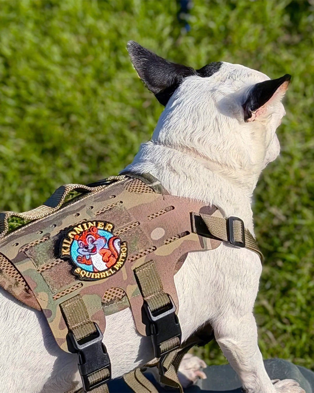 スクワールパトロール パッチ