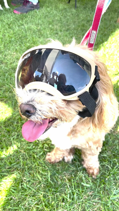 R5 First shot Goggles