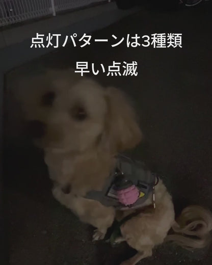 グレネードライト