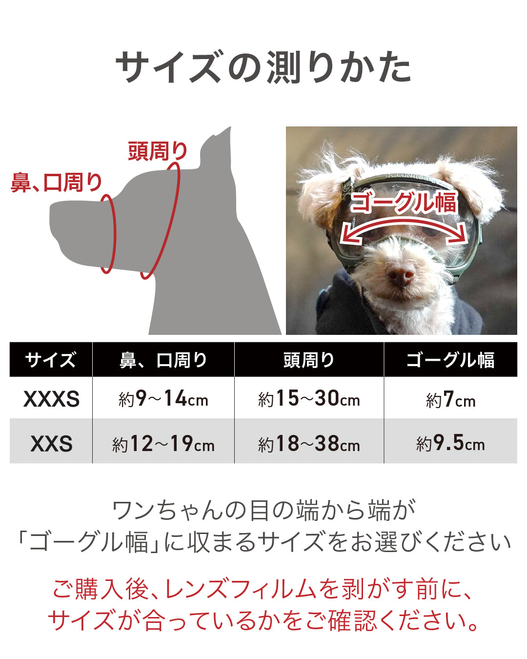 シグネチャーゴーグル